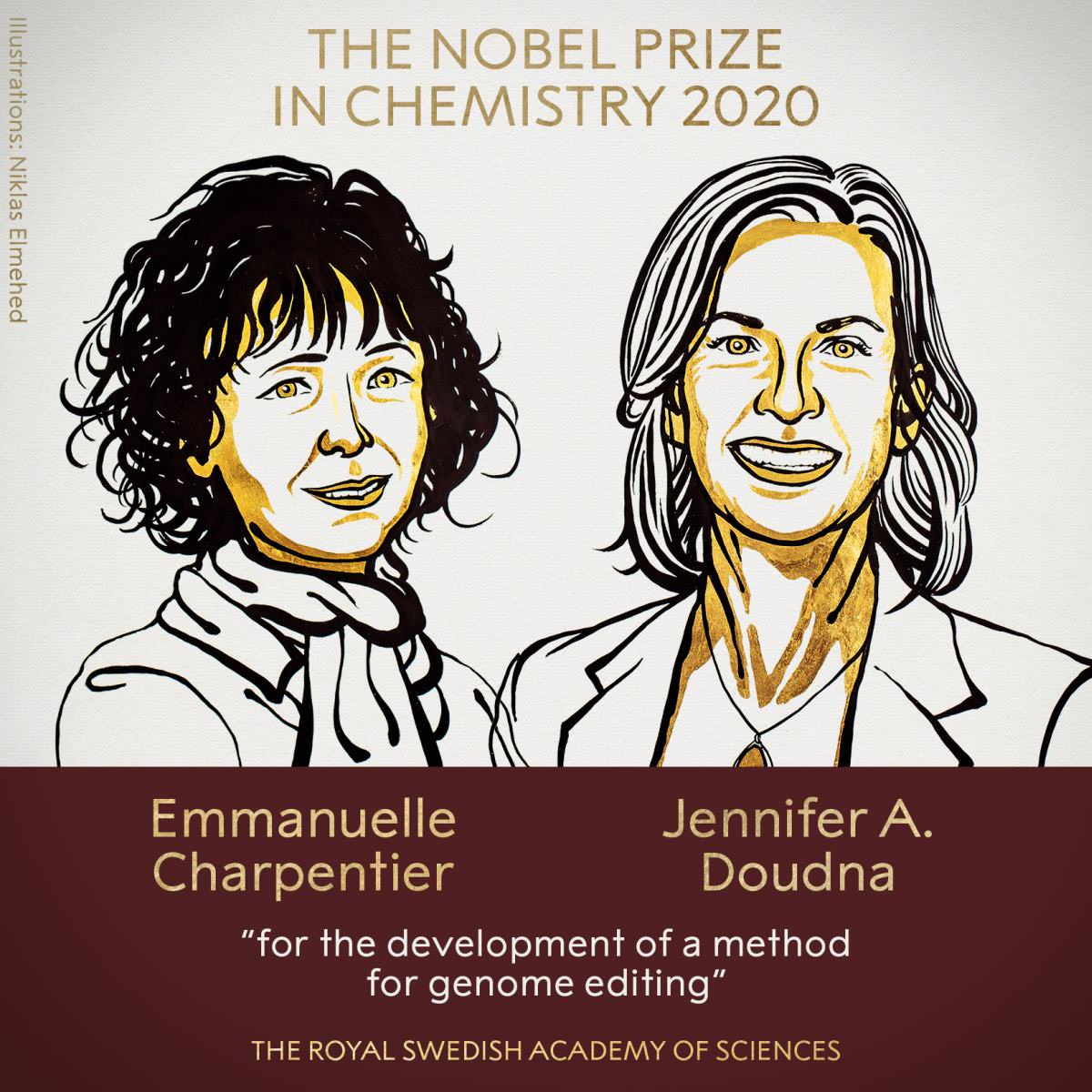 Emmanuelle-Charpentier-and-Jennifer-Doudna-Win-Nobel-Prize-in-Chemistry-2020-for-Gene-Editing-Tool