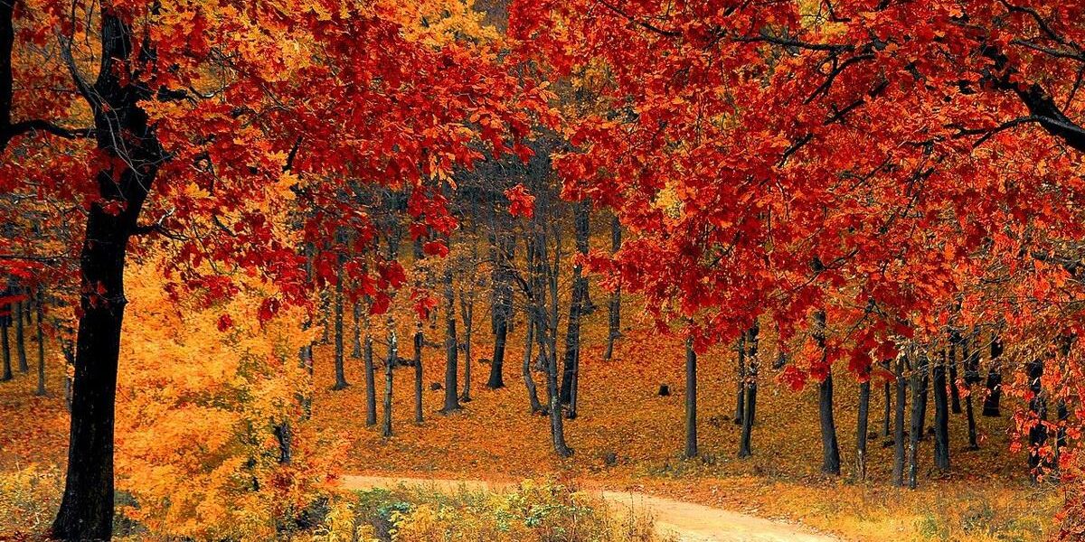 Reasons why fall is best season of the year