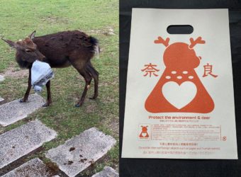 Deer-friendly-edible-paper-bags-in-japan
