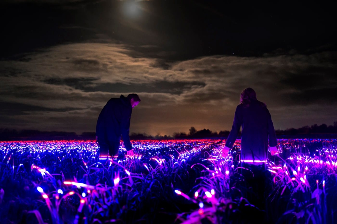 Daan Roosegaarde's LED lights Grow Project