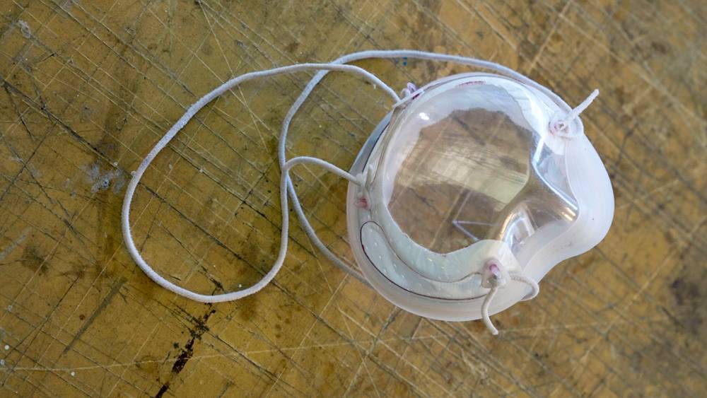Ford COVID-19 Clear N95 Face mask