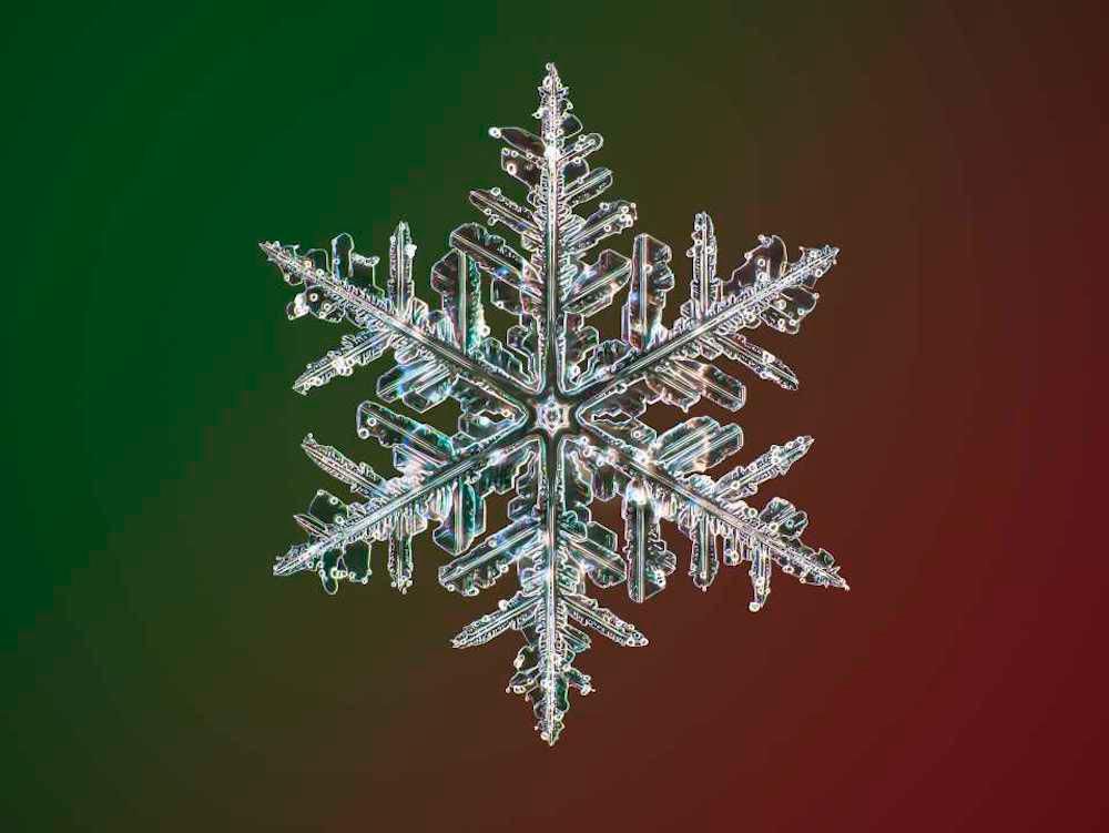 Highest-Resolution Image of Snowflakes