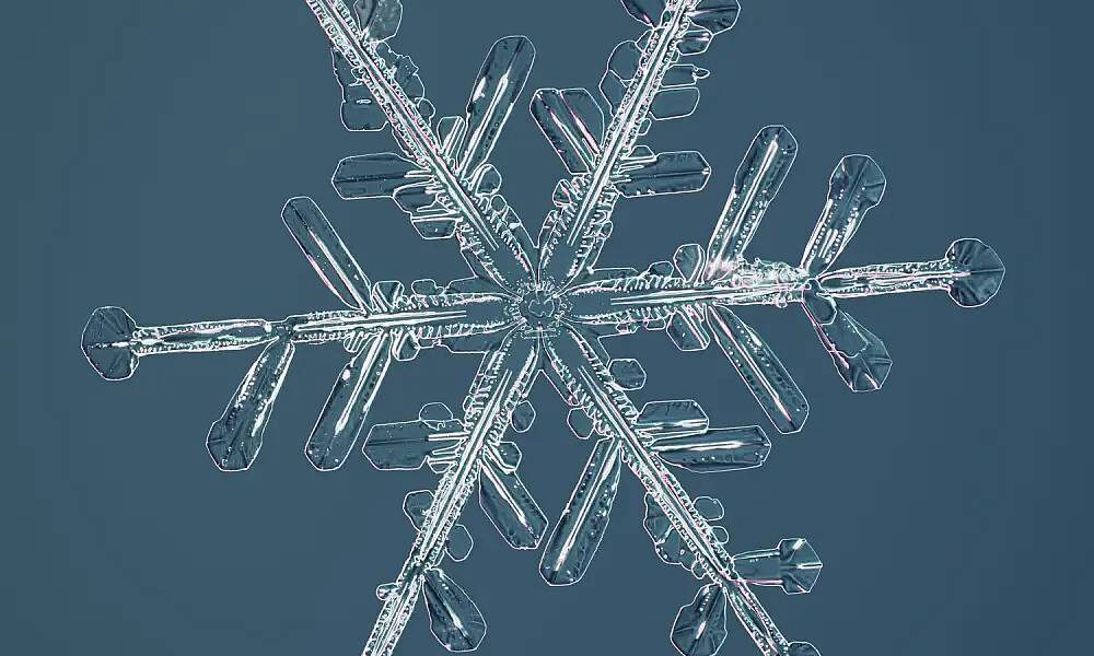 Highest-Resolution Images of Snowflakes by Nathan Myhrvold