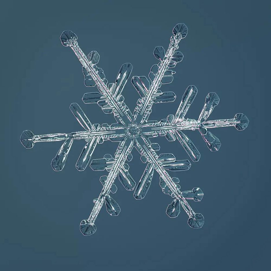 Highest-Resolution Images of Snowflakes by Nathan Myhrvold