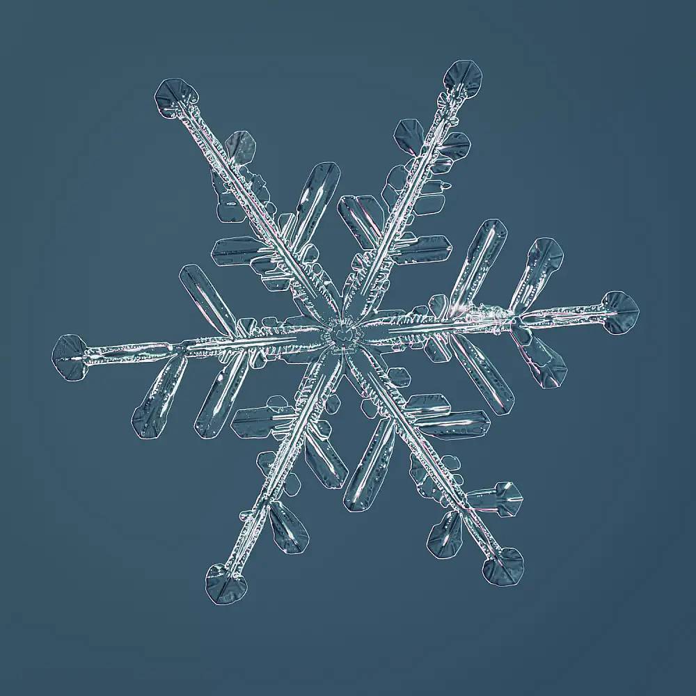 Highest-Resolution Images of Snowflakes Ever Taken At Microscopic Level