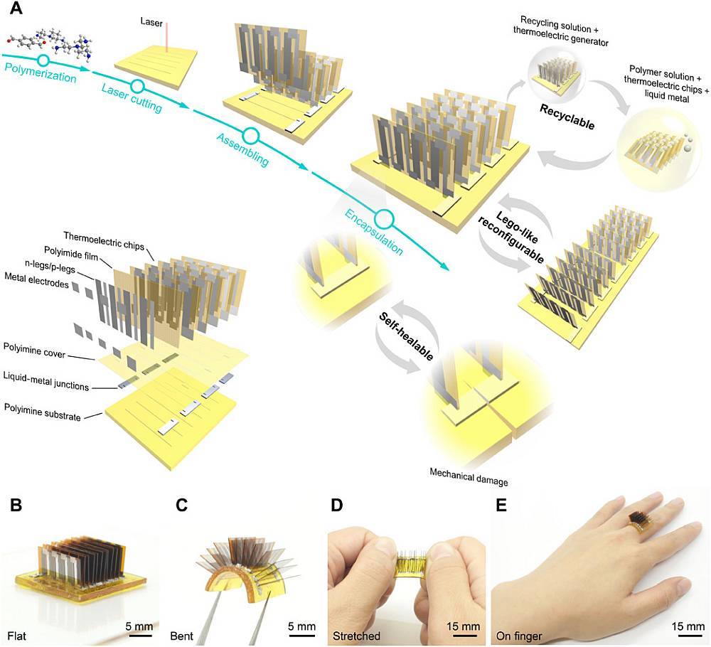 Low-Cost-Wearable-Device-Turns-Human-Body-into-Biological-Battery_1