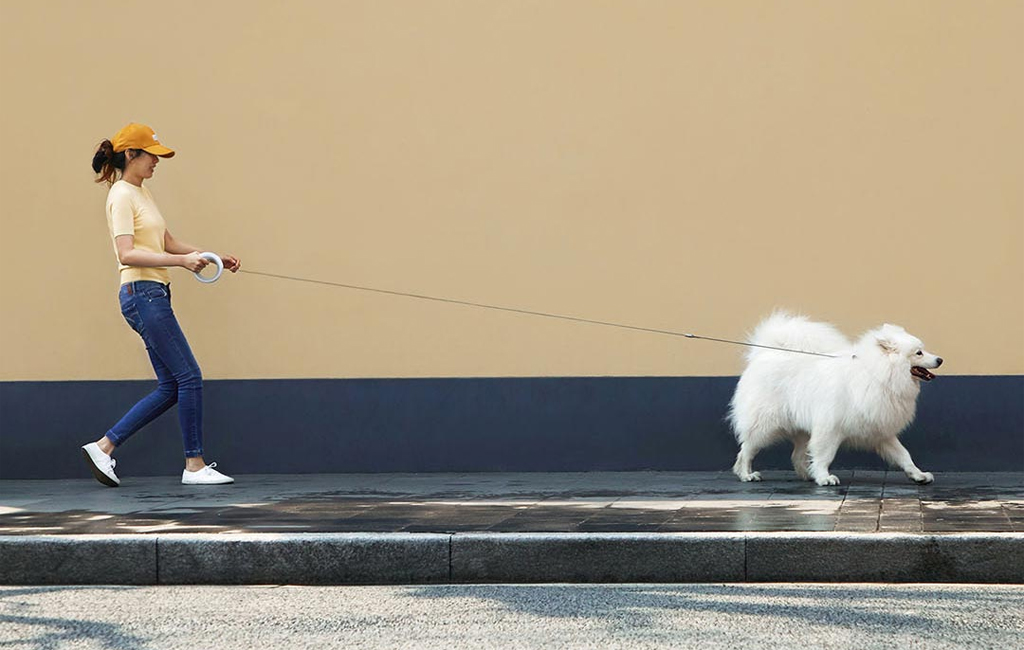 controlling dog with Moestar UFO dog leash