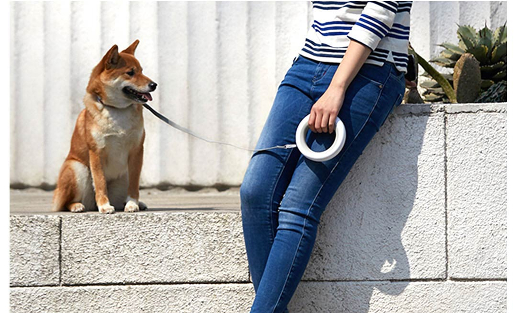 walking dog with Moestar UFO shaped dog leash