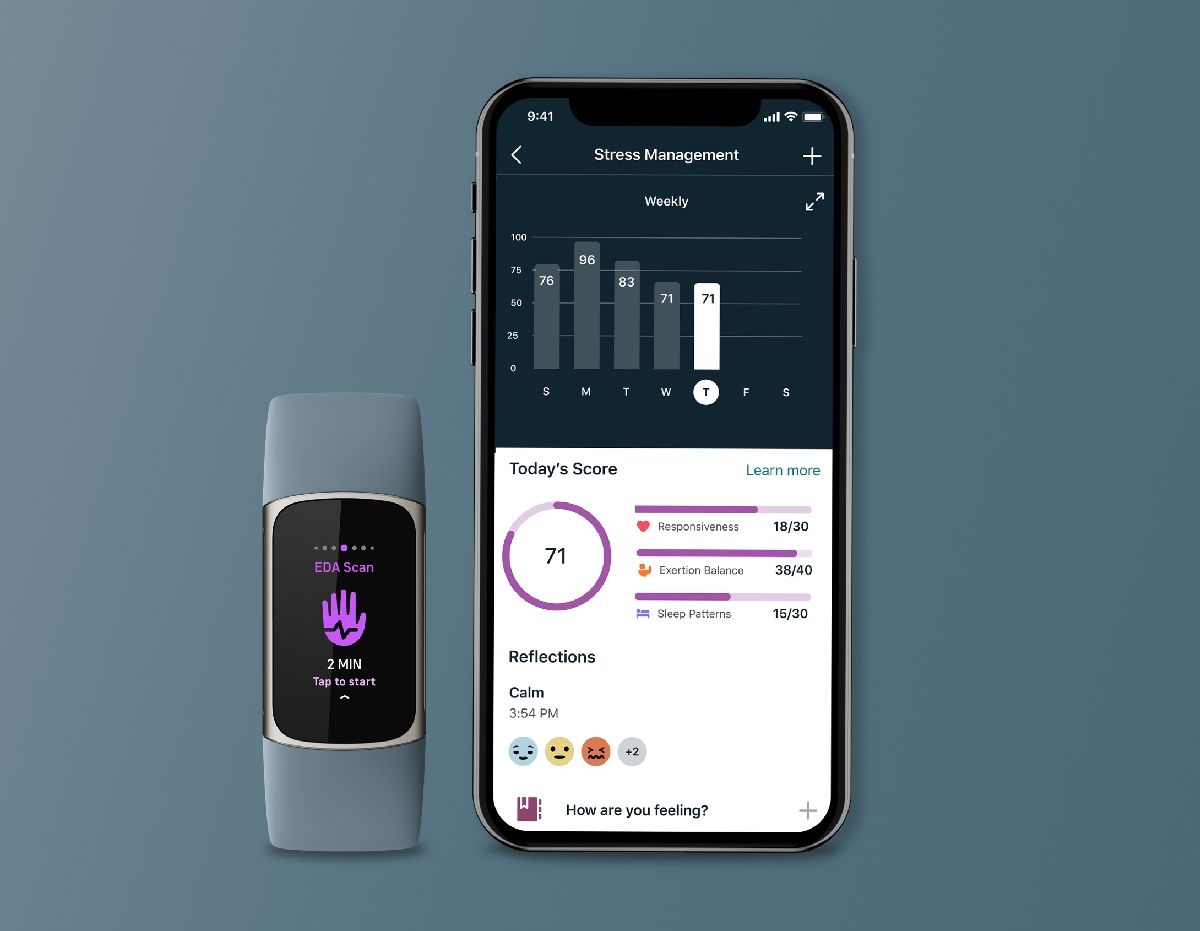 Fitbit best sale stress score