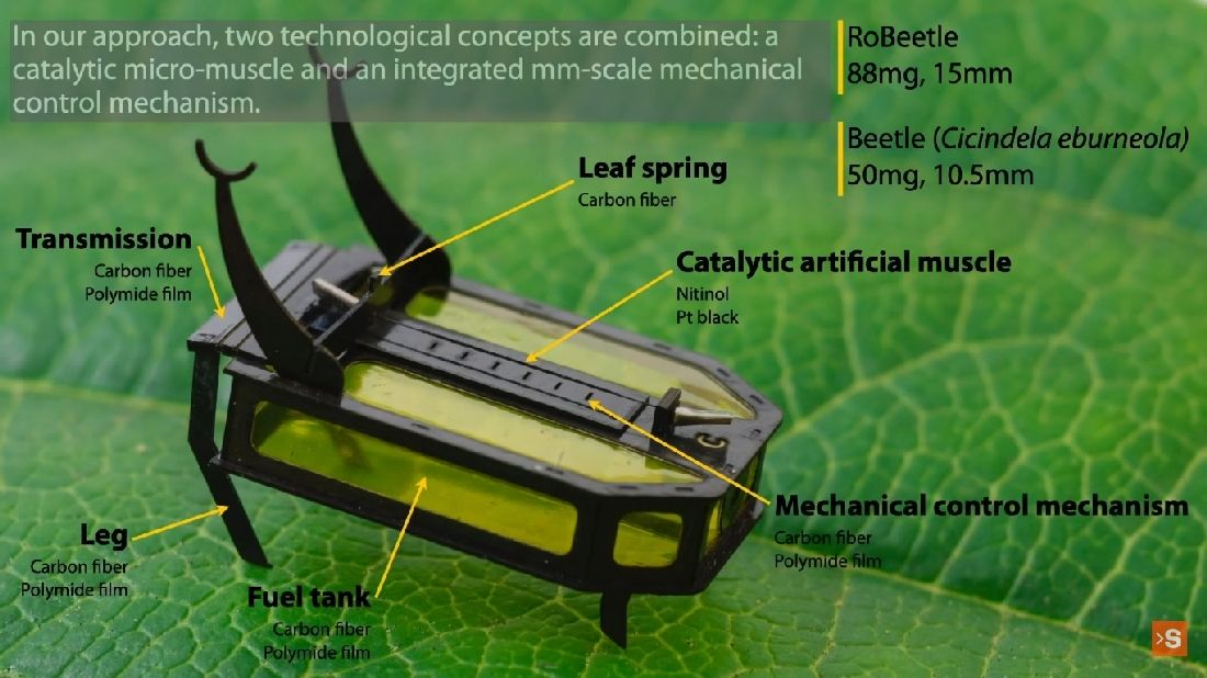 robeetle beetle robot parts