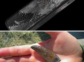 Caviar Embeds Real T.rex Tooth In Tyrannophone iPhone 13 Pro