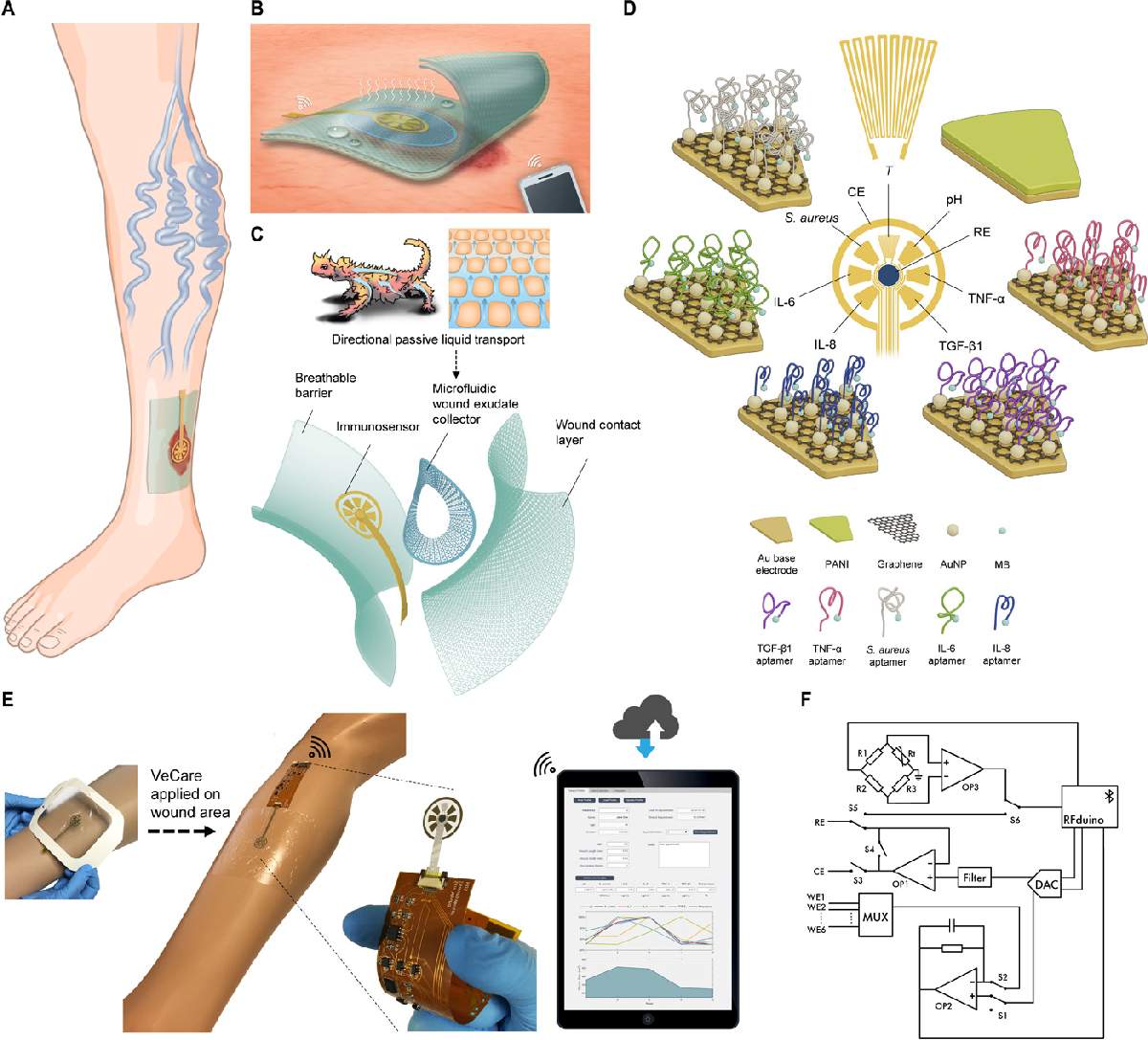 Illustration-of-how-immunosensing-system-works-for-chronic-wound-monitoring