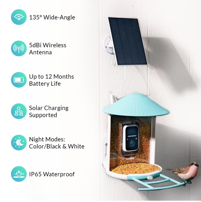 Netvue Birdfy Bird Feeder AI camera & device features