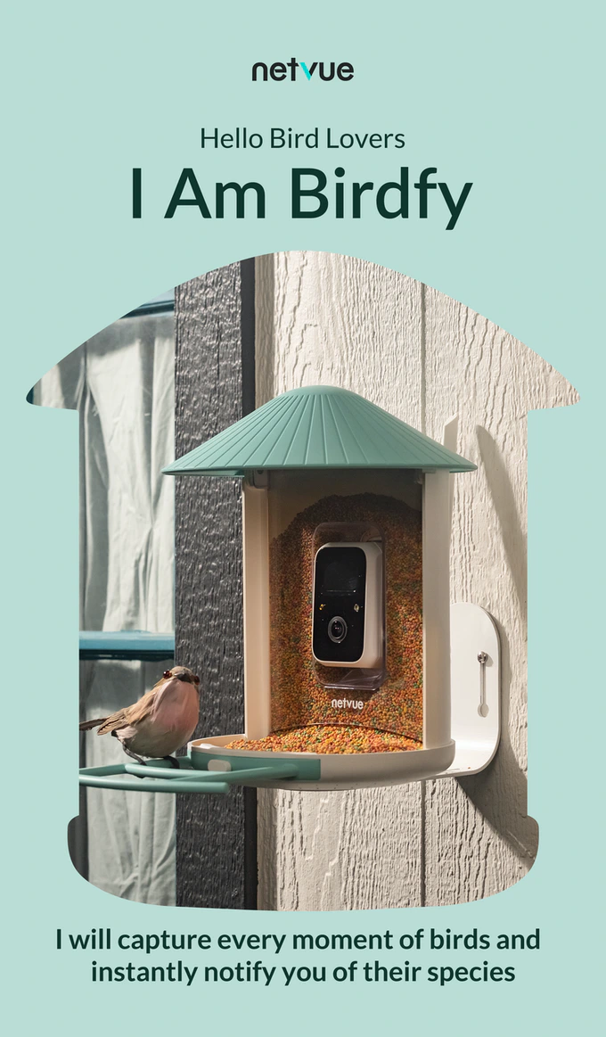 Netvue Birdfy Bird Feeder with AI Camera