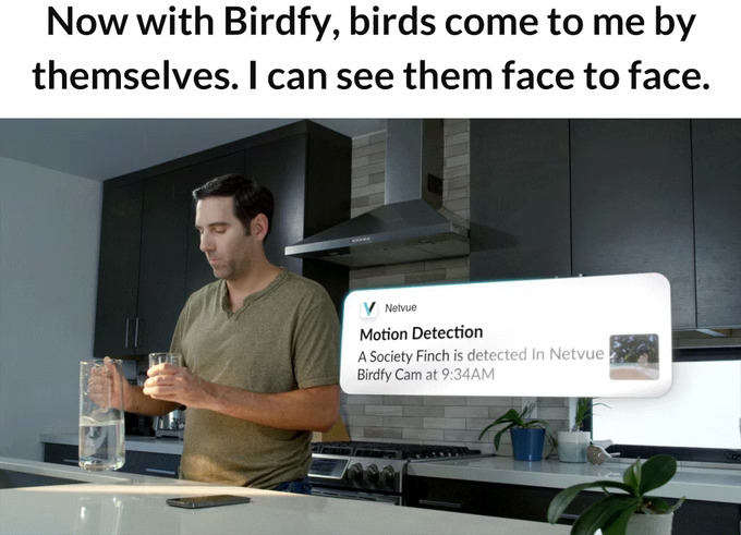 Nevue Birdfy bird feeder app notification