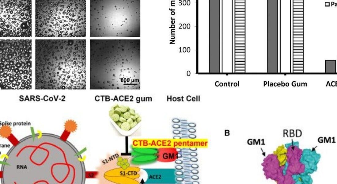 This Chewing Gum Could Minimize Oral Transmission Of Coronavirus