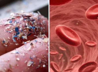 Microplastics Found In Human Blood | Is Our Health At Risk?