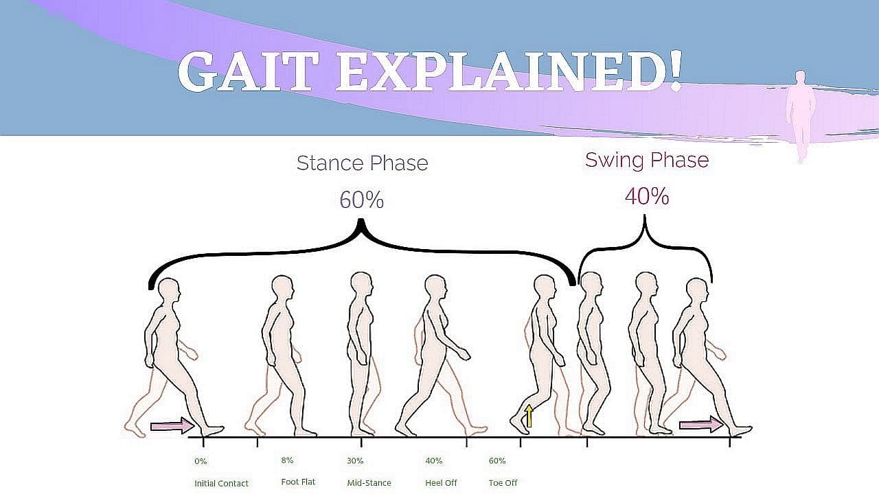 Gait walking cycle